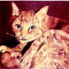2 mein kater friedolin kleines Oelbild (650x469)